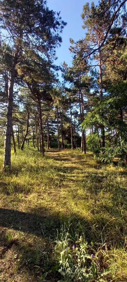 Уютные 2-Х Комнатные Апартаменты Pomorie Apartment